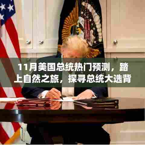 探寻心灵宁静之旅,揭秘11月美国总统热门预测背后的故事