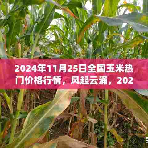 揭秘2024年玉米市场热门价格行情,风起云涌