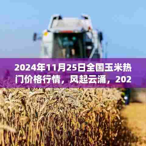 揭秘2024年玉米市场热门价格行情,风起云涌