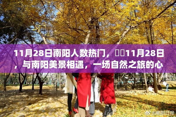 11月28日南阳之旅,与自然美景的相遇与心灵觉醒