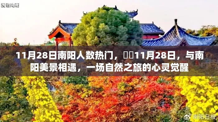11月28日南阳之旅,与自然美景的相遇与心灵觉醒