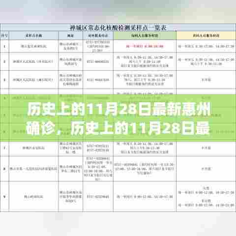 历史上的11月28日惠州最新确诊事件深度解析与回顾