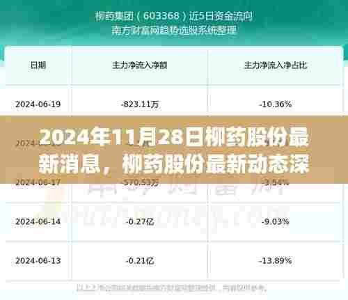 柳药股份最新动态深度解析，把握机遇与挑战，洞悉未来发展趋势（2024年11月28日）