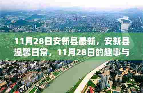 安新县温馨日常趣事与友情绽放纪实，十一月二十八日的精彩瞬间