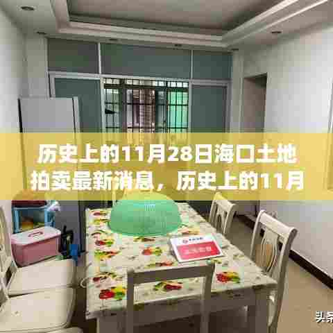 历史上的11月28日海口土地拍卖深度解析,最新消息与流程揭秘