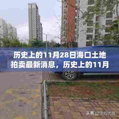 历史上的11月28日海口土地拍卖深度解析,最新消息与流程揭秘