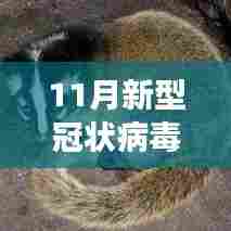 探索自然美景之旅,探寻新冠病毒根源下的宁静与平和