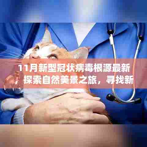 探索自然美景之旅,探寻新冠病毒根源下的宁静与平和