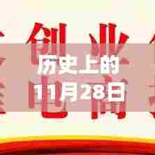历史上的11月28日,探秘艾米宝藏与特色小店的奇妙之旅