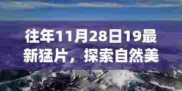 探索自然美景之旅,宁静的力量与幽默的旅程——最新猛片