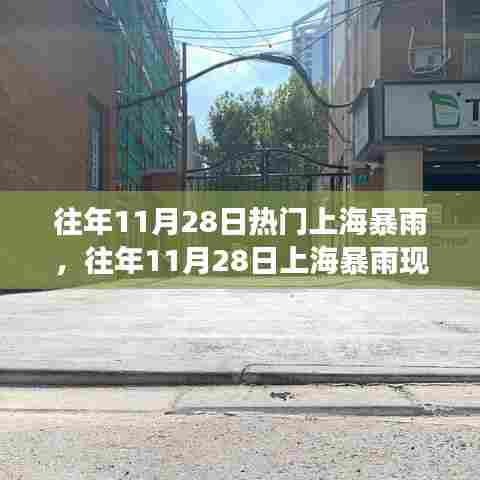 往年11月28日上海暴雨现象深度解析及影响探讨