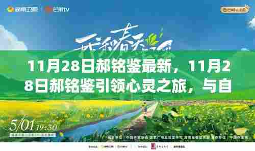 郝铭鉴心灵之旅,与自然美景的不解之缘揭秘心灵之旅新篇章