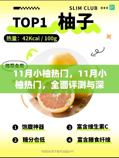 11月小柚热门,全面评测与深度介绍