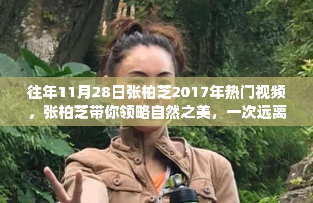 张柏芝带你领略自然之美,远离尘嚣的心灵之旅视频回顾 2017年热门片段欣赏