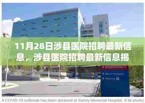 涉县医院招聘最新信息揭秘,医疗人才盛会盛大开启(11月28日)