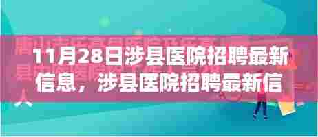 涉县医院招聘最新信息揭秘，医疗人才盛会盛大开启（11月28日）