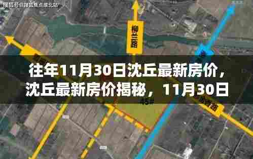 沈丘最新房价揭秘,11月30日楼市走势分析与房价概览
