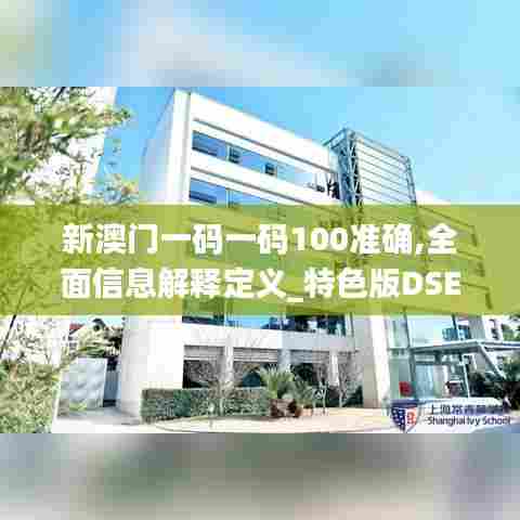 新澳门一码一码100准确,全面信息解释定义_特色版DSE95.441