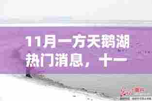 天鹅湖畔的十一月热门焦点揭秘，背景、事件与地位