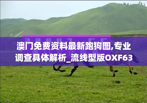 澳门免费资料最新跑狗图,专业调查具体解析_流线型版OXF63.177