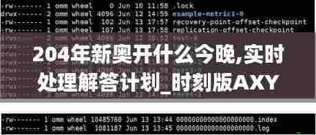 204年新奥开什么今晚,实时处理解答计划_时刻版AXY75.171