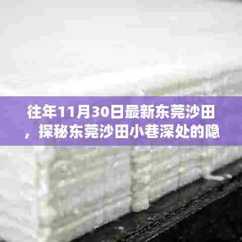 探秘东莞沙田小巷深处的隐藏瑰宝,非凡之旅之特色小店揭秘