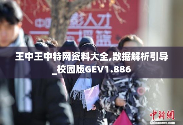 王中王中特网资料大全,数据解析引导_校园版GEV1.886