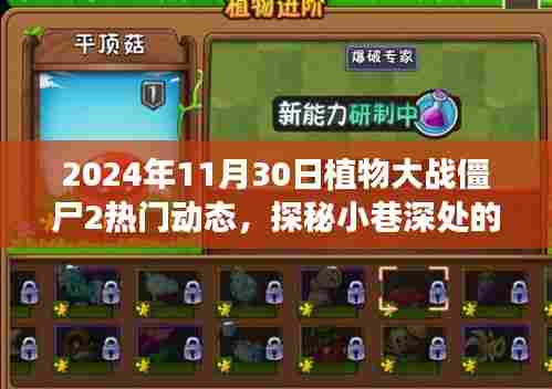 植物大战僵尸2探秘小巷宝藏,揭秘热门动态下的独特小店