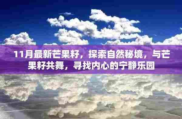 11月最新芒果籽,探索自然秘境,心灵宁静之旅