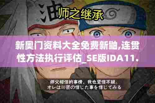 新奥门资料大全免费新鼬,连贯性方法执行评估_SE版IDA11.800
