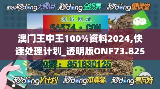 澳门王中王100%资料2024,快速处理计划_透明版ONF73.825