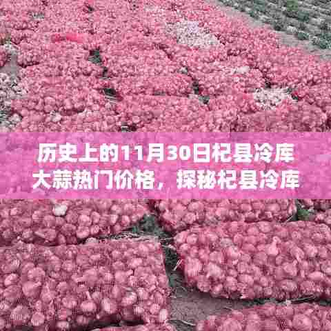 探秘杞县冷库大蒜，历史价格变迁与美食诱惑的揭秘之旅（附热门价格）