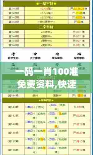 一码一肖100准免费资料,快速处理计划_外观版ENJ59.388