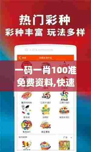 一码一肖100准免费资料,快速处理计划_外观版ENJ59.388