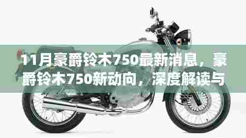 豪爵铃木750新动向深度解读与观点碰撞，11月最新消息揭秘