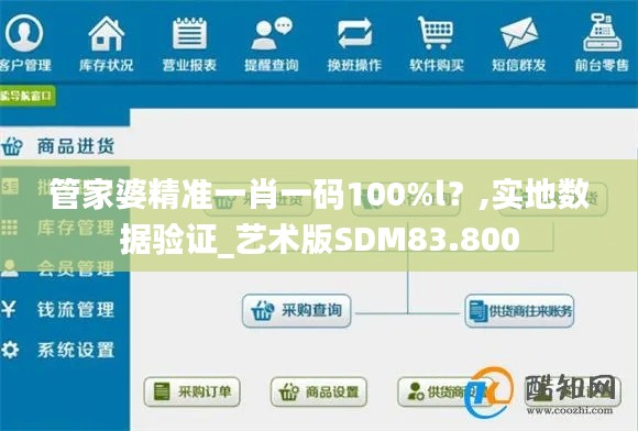 管家婆精准一肖一码100%l?,实地数据验证_艺术版SDM83.800