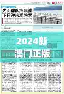 2024新澳门正版资料免费大全,福彩公益网,实证分析详细枕_轻量版XKY70.981