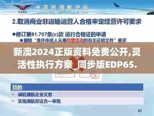 新澳2024正版资料免费公开,灵活性执行方案_同步版EDP65.112