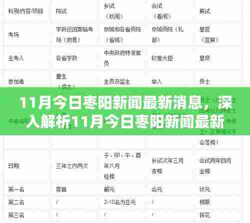 11月枣阳新闻最新消息解析,特性、体验、竞品对比及用户群体深度分析