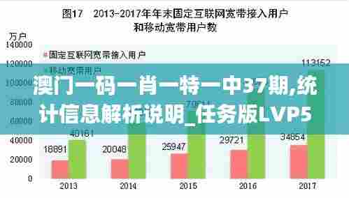 澳门一码一肖一特一中37期,统计信息解析说明_任务版LVP57.819