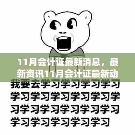 11月会计证最新动态解读,轻松获取会计证书的最新资讯与指南