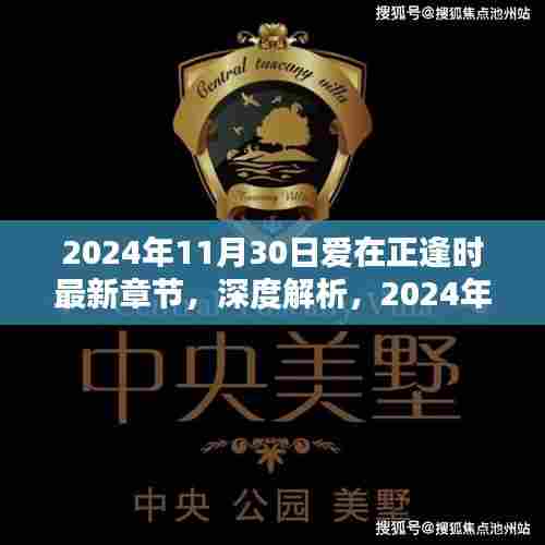 爱在正逢时最新章节深度解析与全面评测介绍(2024年11月30日)