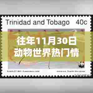 往年11月30日动物世界热门情况深度解析与评测报告