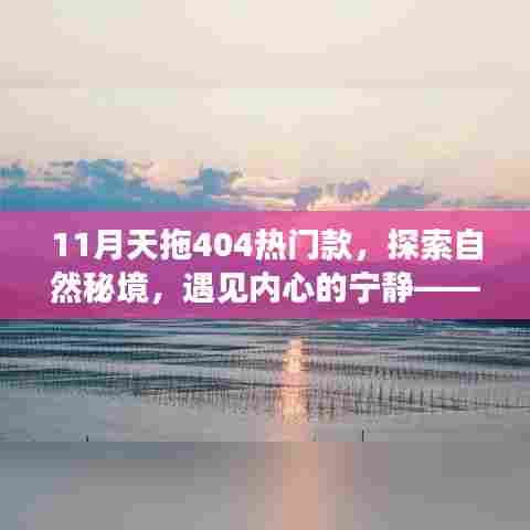 天拖404热门款,一月心灵之旅,探索自然秘境,邂逅内心宁静