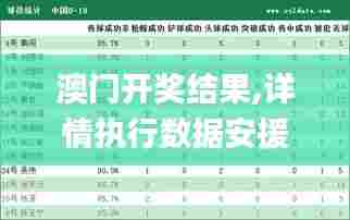 澳门开奖结果,详情执行数据安援_计算版YGJ12.457