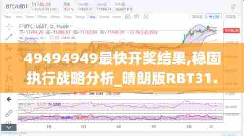 49494949最快开奖结果,稳固执行战略分析_晴朗版RBT31.138
