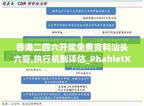 香港二四六开奖免费资料汕头六哥,执行机制评估_PhabletXPH30.100
