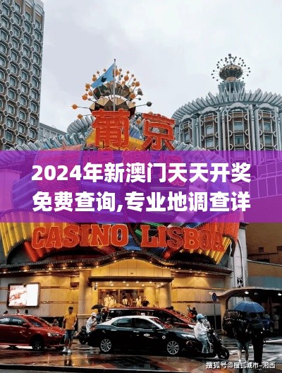 2024年新澳门天天开奖免费查询,专业地调查详解_旅行版FMR77.405