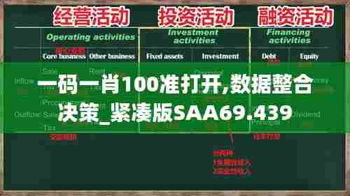 一码一肖100准打开,数据整合决策_紧凑版SAA69.439