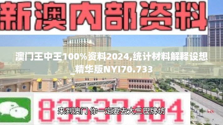 澳门王中王100%资料2024,统计材料解释设想_精华版NYI70.733